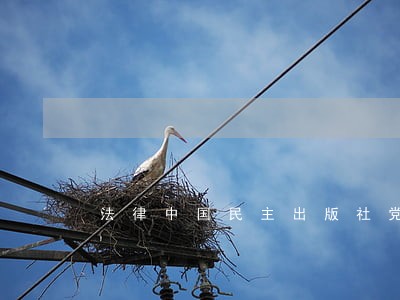 法律中国民主出版社党建读物出版社