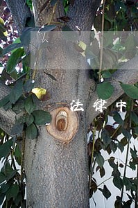 法律中国民主法制出版社气象出版社 法律中国民主法制出版社气象出版社