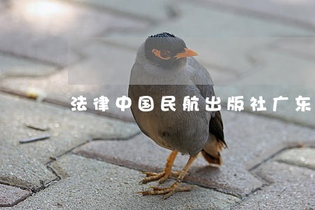 法律中国民航出版社广东人民出版社 法律中国民航出版社广东人民出版社