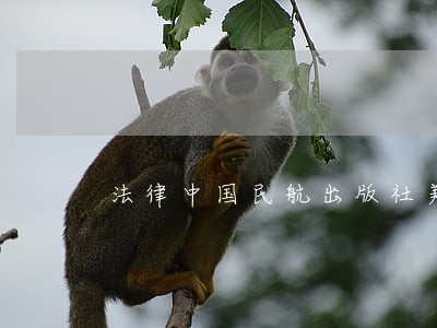 法律中国民航出版社美国经济 法律中国民航出版社美国经济