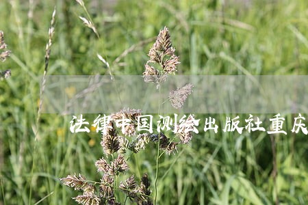 法律中国测绘出版社重庆出版社 法律中国测绘出版社重庆出版社