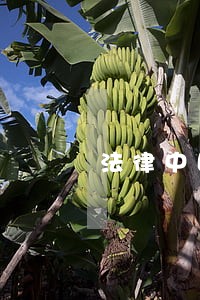 法律中国海洋大学出版社辅导用书 法律中国海洋大学出版社辅导用书