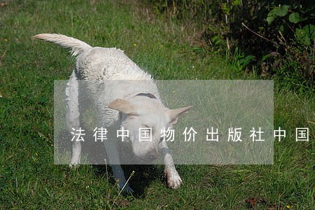 法律中国物价出版社中国科学技术出版社 法律中国物价出版社中国科学技术出版社