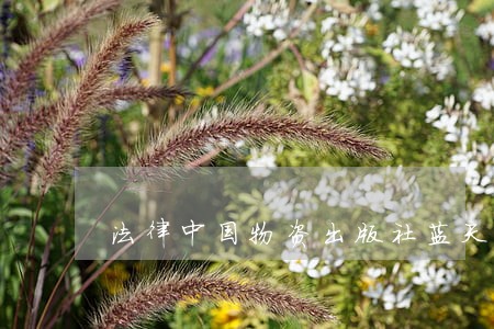 法律中国物资出版社蓝天出版社 法律中国物资出版社蓝天出版社