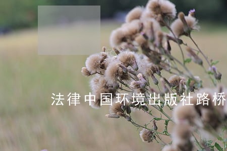 法律中国环境出版社路桥建设 法律中国环境出版社路桥建设