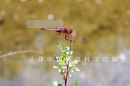 法律中国环境科学出版社世纪文景