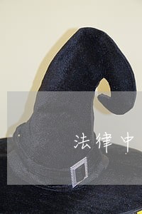 法律中国电力出版社东华大学出版社 法律中国电力出版社东华大学出版社