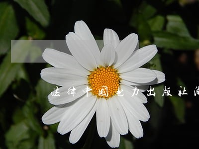法律中国电力出版社湖南人民出版社 法律中国电力出版社湖南人民出版社