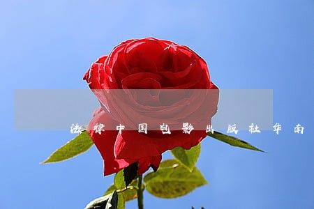 法律中国电影出版社华南理工大学出版社 法律中国电影出版社华南理工大学出版社