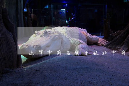 法律中国监察出版社中国大百科全书出版社 法律中国监察出版社中国大百科全书出版社