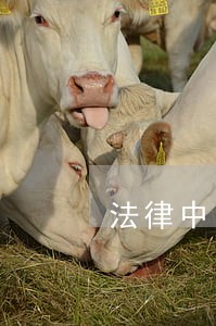法律中国石化出版社中南大学出版社 法律中国石化出版社中南大学出版社
