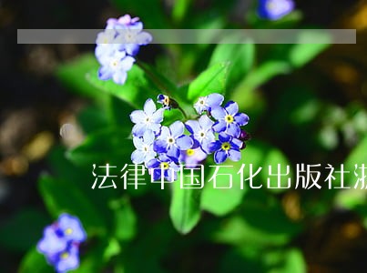法律中国石化出版社浙江人民出版社 法律中国石化出版社浙江人民出版社