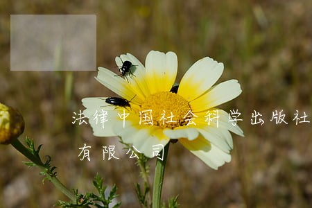 法律中国社会科学出版社北京时代华文书局有限公司 法律中国社会科学出版社北京时代华文书局有限公司