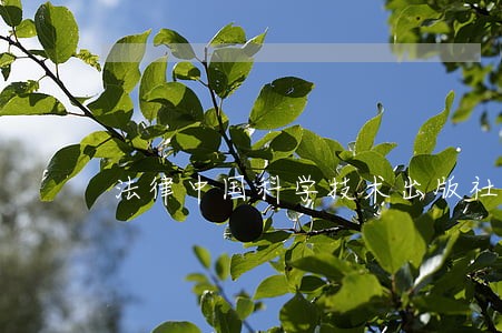 法律中国科学技术出版社上海译文出版社 法律中国科学技术出版社上海译文出版社