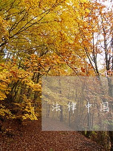 法律中国科学技术出版社中央编译出版社
