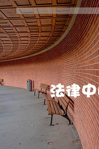 法律中国科学技术大学出版社 法律中国科学技术大学出版社