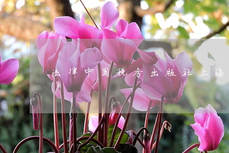 法律中国税务出版社上海科学普及出版社 法律中国税务出版社上海科学普及出版社
