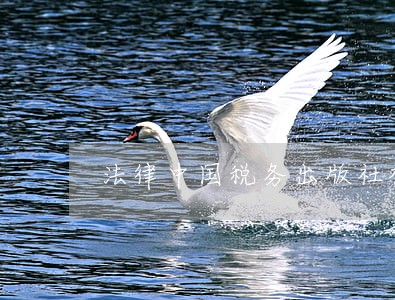 法律中国税务出版社福建人民出版社 法律中国税务出版社福建人民出版社
