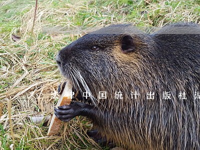 法律中国统计出版社湖南人民出版社 法律中国统计出版社湖南人民出版社