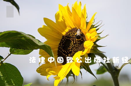 法律中国致公出版社新经典 法律中国致公出版社新经典