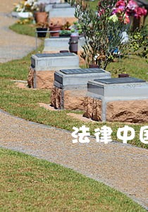 法律中国致公出版社美国经济 法律中国致公出版社美国经济