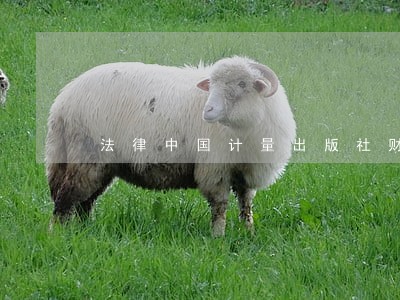 法律中国计量出版社财务会计 法律中国计量出版社财务会计