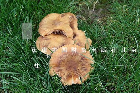 法律中国财富出版社北京航空航天大学出版社 法律中国财富出版社北京航空航天大学出版社