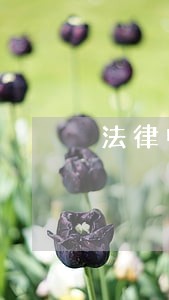 法律中国财富出版社辅导用书