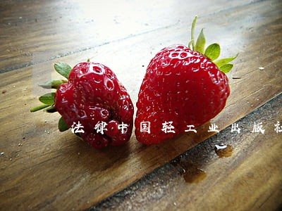 法律中国轻工业出版社中国广播影视出版社 法律中国轻工业出版社中国广播影视出版社