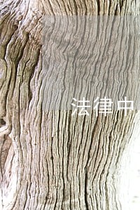 法律中国轻工业出版社华文出版社 法律中国轻工业出版社华文出版社