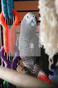 法律中国金融出版社外文出版社 法律中国金融出版社外文出版社