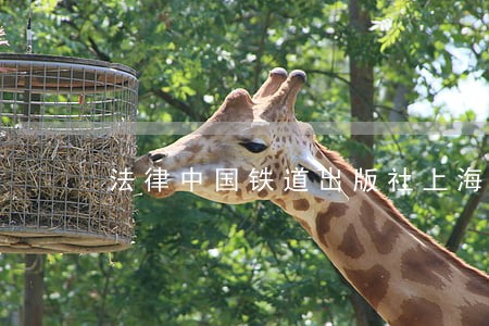 法律中国铁道出版社上海社会科学院出版社 法律中国铁道出版社上海社会科学院出版社