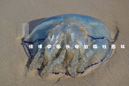 法律中国长安出版社吉林大学出版社 法律中国长安出版社吉林大学出版社