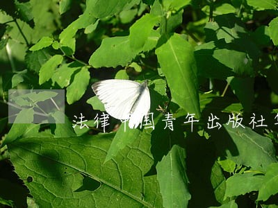 法律中国青年出版社华龄出版社 法律中国青年出版社华龄出版社