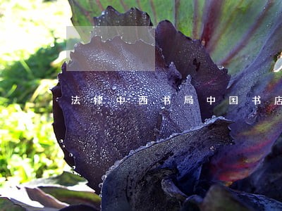法律中西书局中国书店出版社