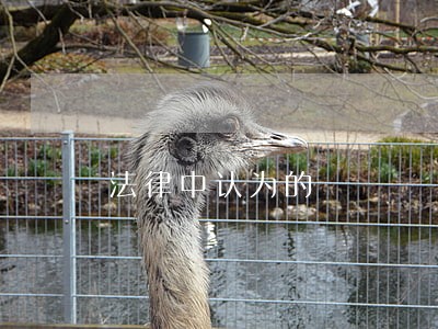 法律中认为的 法律中认为的