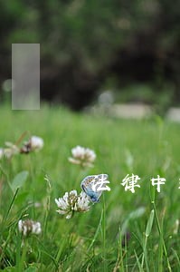 法律中违法侵害是什么呢 法律中违法侵害是什么呢