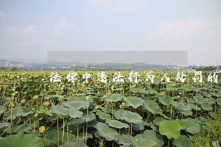 法律中违法行为人处罚的时间 法律中违法行为人处罚的时间