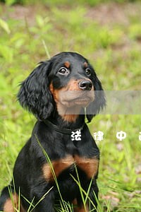 法律中逾期 法律中逾期