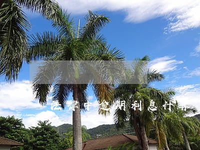 法律中逾期利息计算 法律中逾期利息计算
