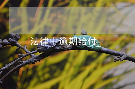 法律中逾期给付 法律中逾期给付