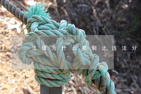 法律为什么要制止违法分包和转包 法律为什么要制止违法分包和转包