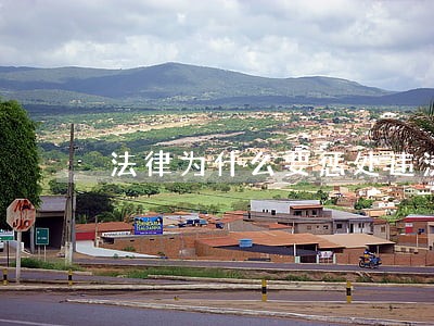 法律为什么要惩处违法犯罪行为 法律为什么要惩处违法犯罪行为