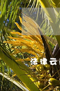 法律云南科技出版社中国书店出版社