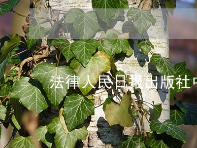 法律人民日报出版社中国电力出版社 法律人民日报出版社中国电力出版社