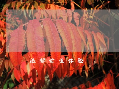法律价值体验 法律价值体验