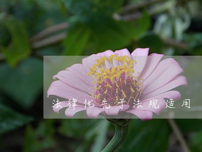 法律优先于法规适用