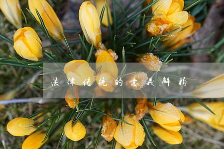 法律传统的意义解构 法律传统的意义解构