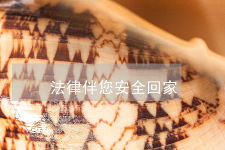 法律伴您安全回家 法律伴您安全回家