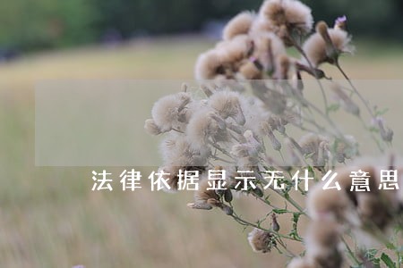 法律依据显示无什么意思 法律依据显示无什么意思